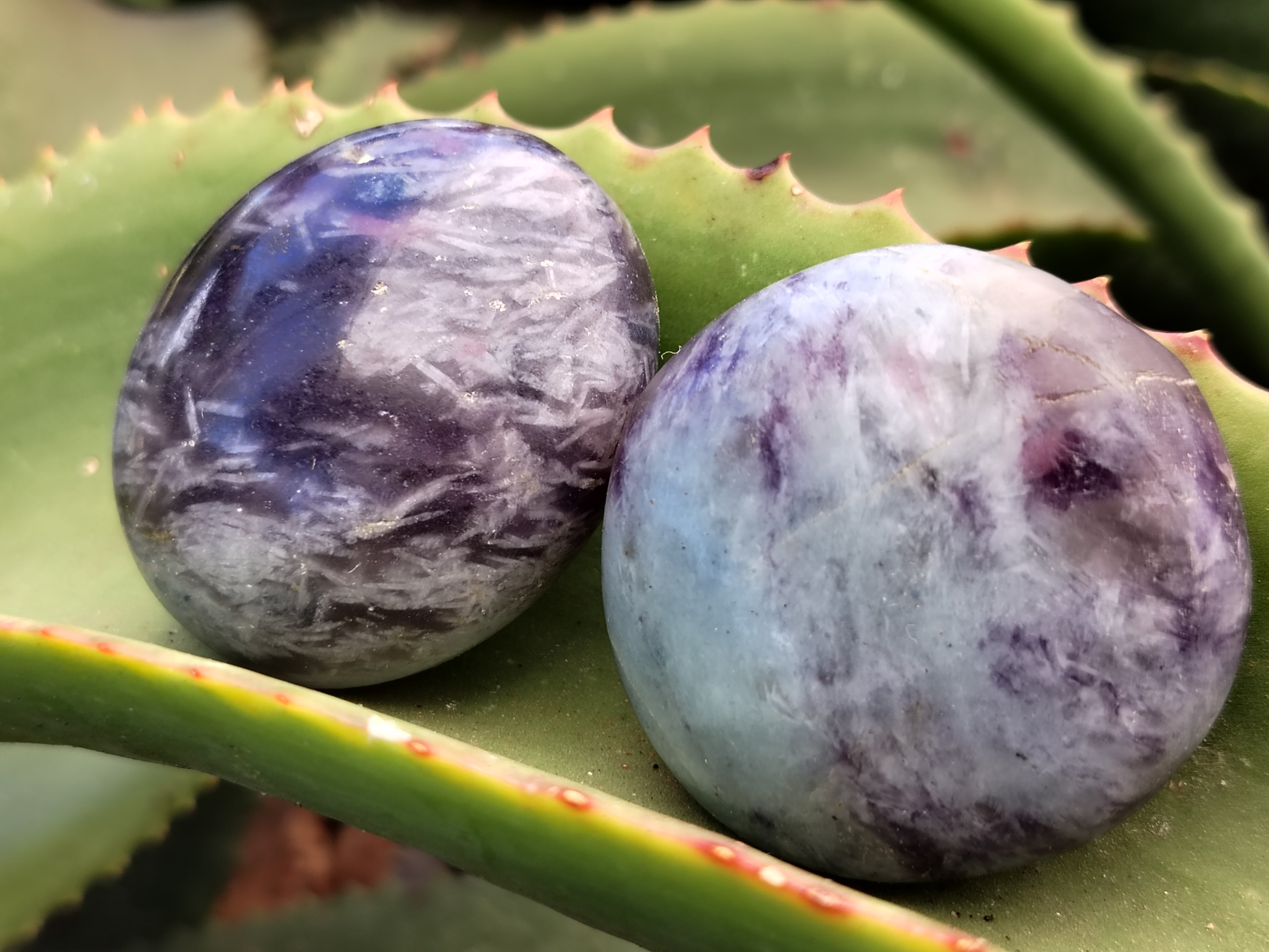 Polished Lepidolite with Pink Rubellite Palm Stones x 24 From Ambatondrazaka, Madagascar - Toprock Gemstones and Minerals 