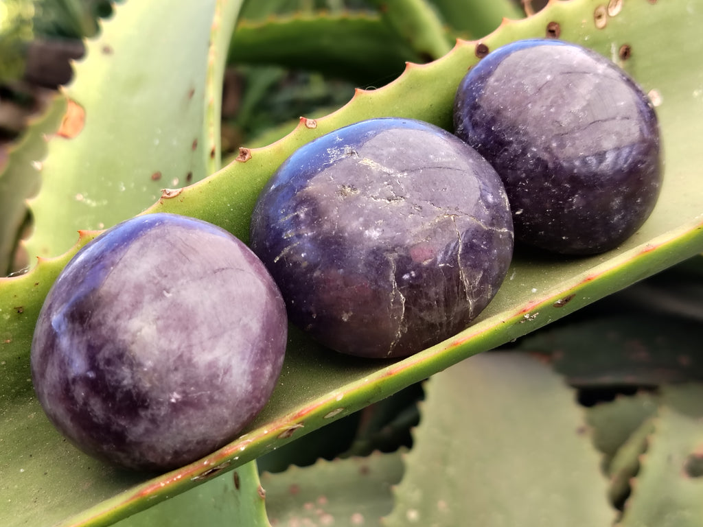 Polished Lepidolite with Pink Rubellite Palm Stones x 24 From Ambatondrazaka, Madagascar - Toprock Gemstones and Minerals 