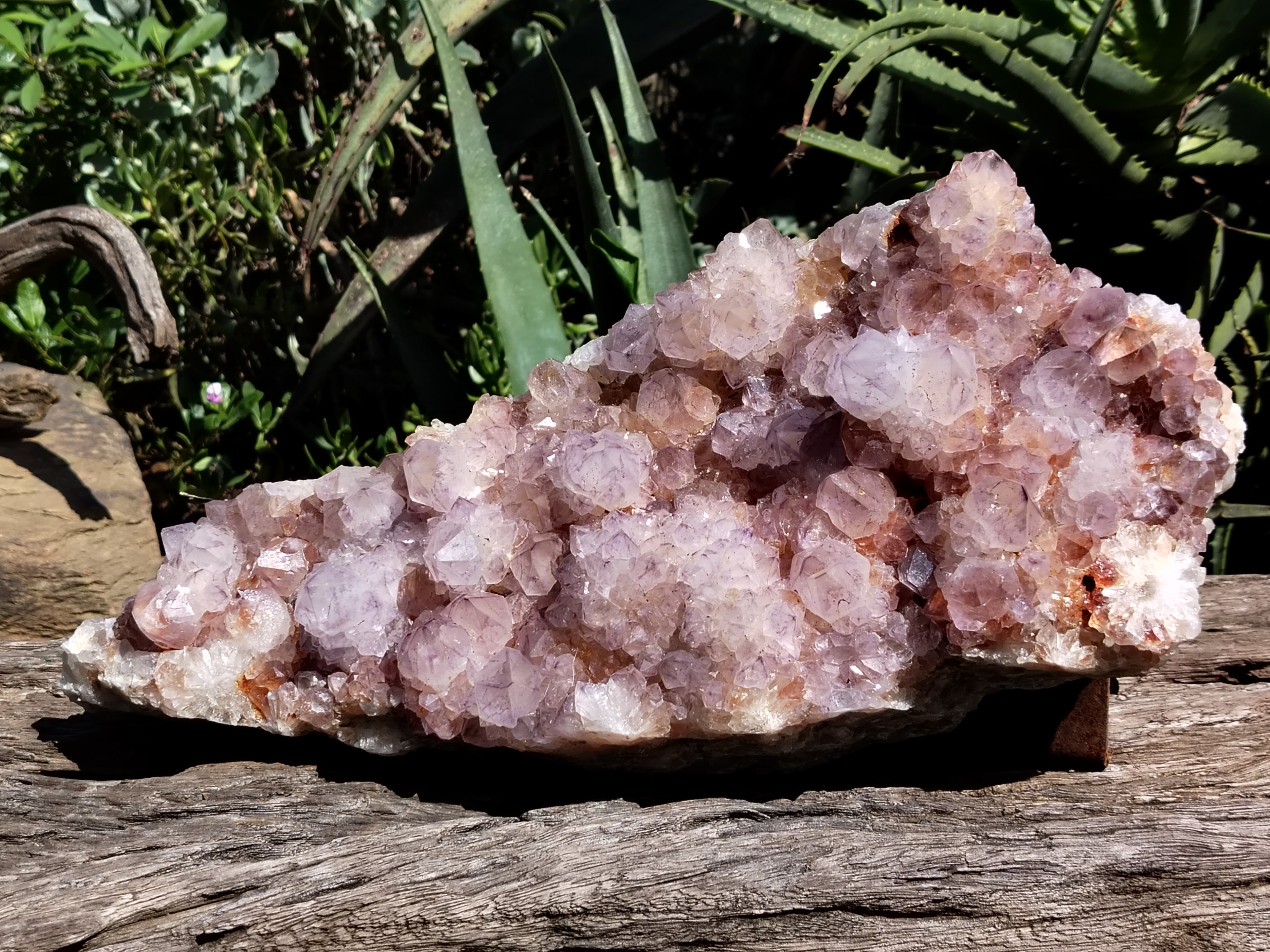 Natural Amethyst Spirit Quartz Cluster x 1 From Boekenhouthoek, South Africa - Toprock Gemstones and Minerals 