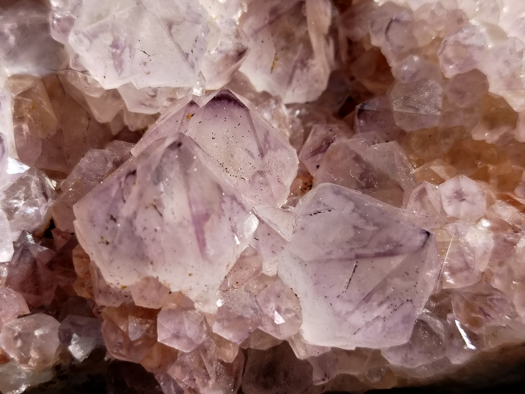 Natural Amethyst Spirit Quartz Cluster x 1 From Boekenhouthoek, South Africa - Toprock Gemstones and Minerals 