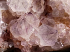Natural Amethyst Spirit Quartz Cluster x 1 From Boekenhouthoek, South Africa - Toprock Gemstones and Minerals 