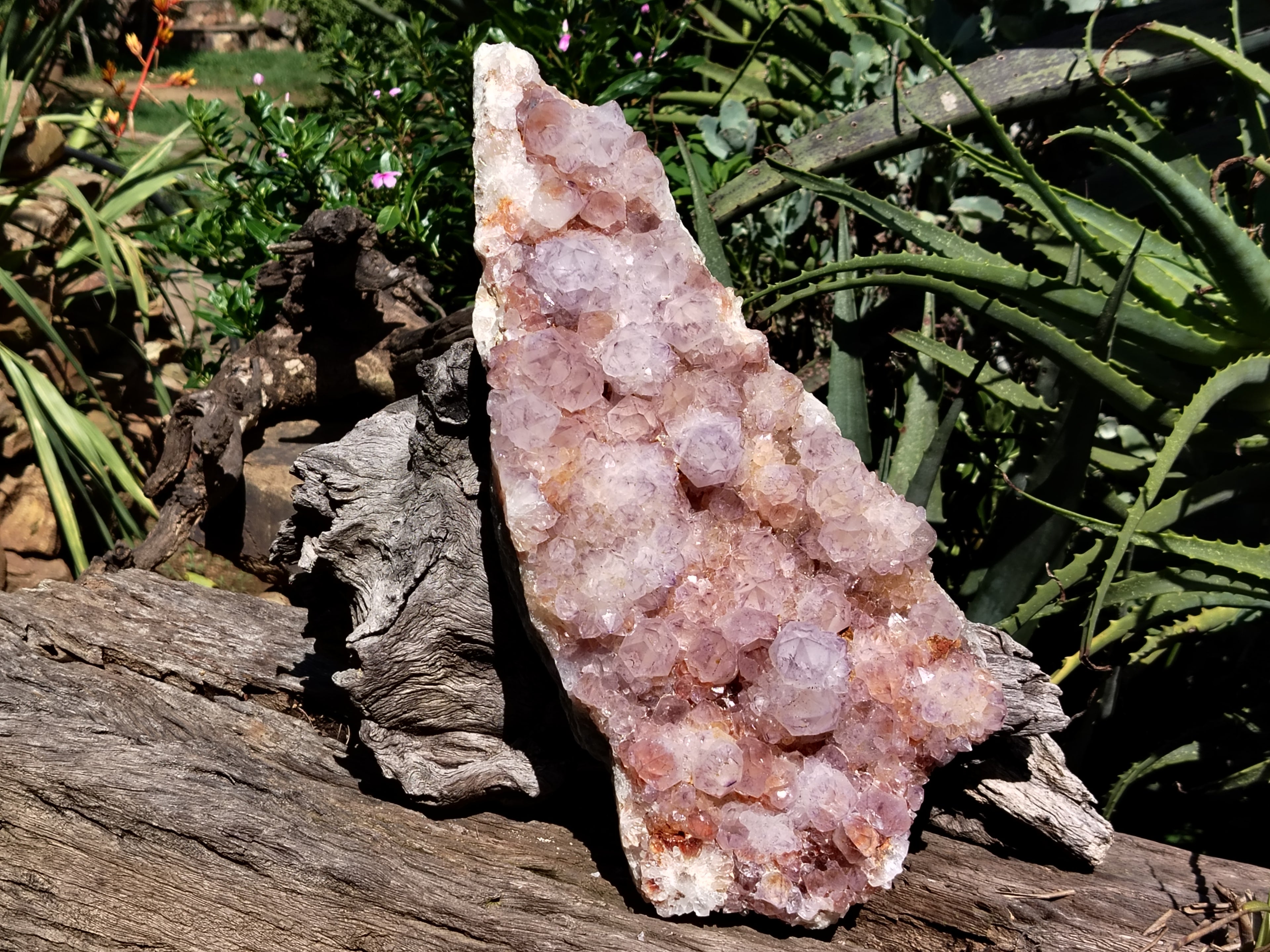 Natural Amethyst Spirit Quartz Cluster x 1 From Boekenhouthoek, South Africa - Toprock Gemstones and Minerals 