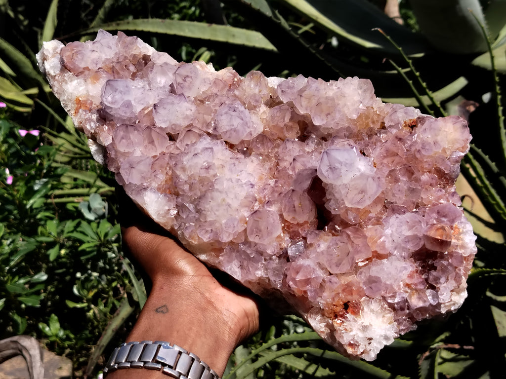 Natural Amethyst Spirit Quartz Cluster x 1 From Boekenhouthoek, South Africa - Toprock Gemstones and Minerals 