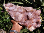 Natural Amethyst Spirit Quartz Cluster x 1 From Boekenhouthoek, South Africa - Toprock Gemstones and Minerals 