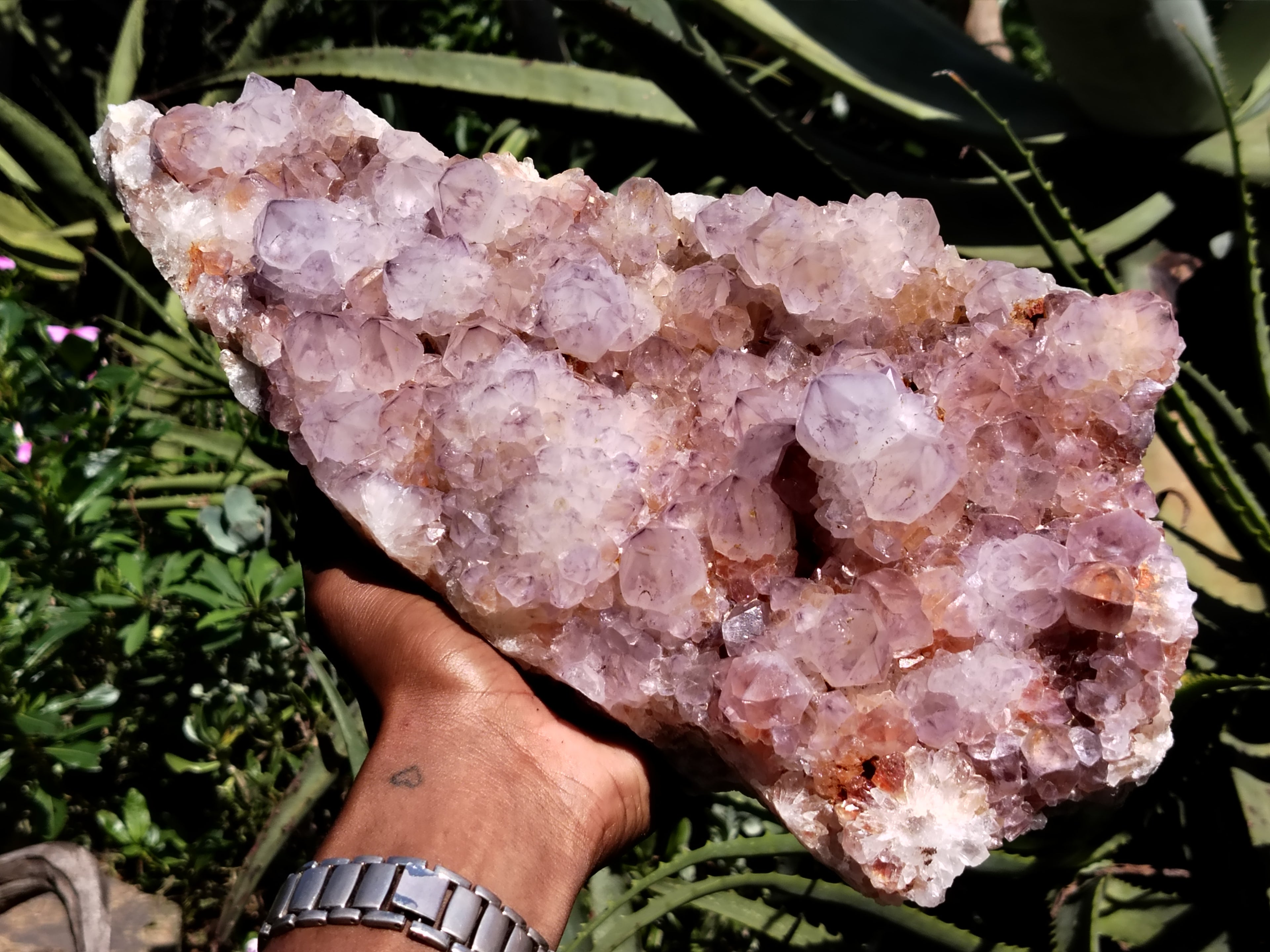 Natural Amethyst Spirit Quartz Cluster x 1 From Boekenhouthoek, South Africa - Toprock Gemstones and Minerals 