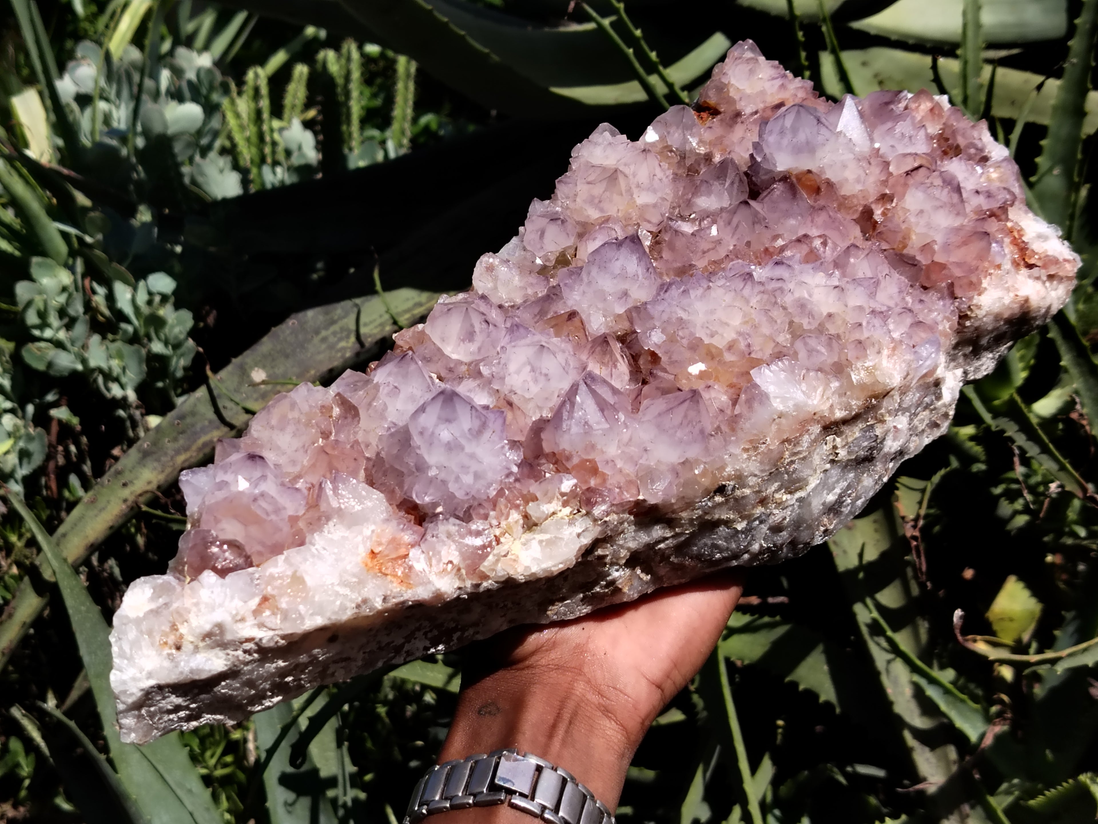 Natural Amethyst Spirit Quartz Cluster x 1 From Boekenhouthoek, South Africa - Toprock Gemstones and Minerals 