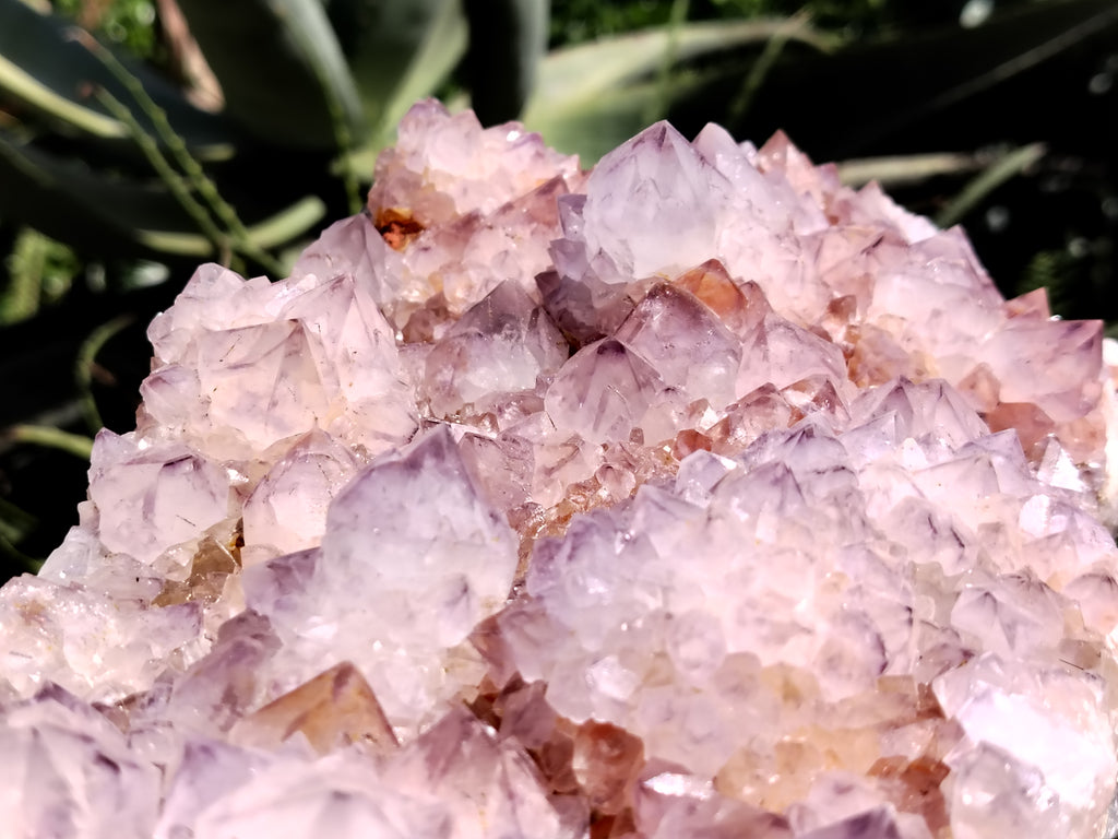 Natural Amethyst Spirit Quartz Cluster x 1 From Boekenhouthoek, South Africa - Toprock Gemstones and Minerals 