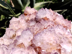 Natural Amethyst Spirit Quartz Cluster x 1 From Boekenhouthoek, South Africa - Toprock Gemstones and Minerals 