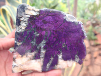 Polished On One Side Purpurite Specimens x 6 From Namibia - Toprock Gemstones and Minerals 