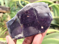 Polished On One Side Purpurite Specimens x 6 From Namibia - Toprock Gemstones and Minerals 