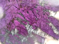 Polished On One Side Purpurite Specimens x 6 From Namibia - Toprock Gemstones and Minerals 