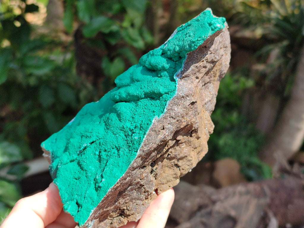 Natural Botryoidal Malachite Specimens x 2 From Tenke Fungurume, Congo - Toprock Gemstones and Minerals 