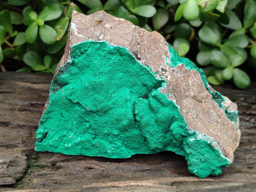 Natural Botryoidal Malachite Specimens x 2 From Tenke Fungurume, Congo - Toprock Gemstones and Minerals 