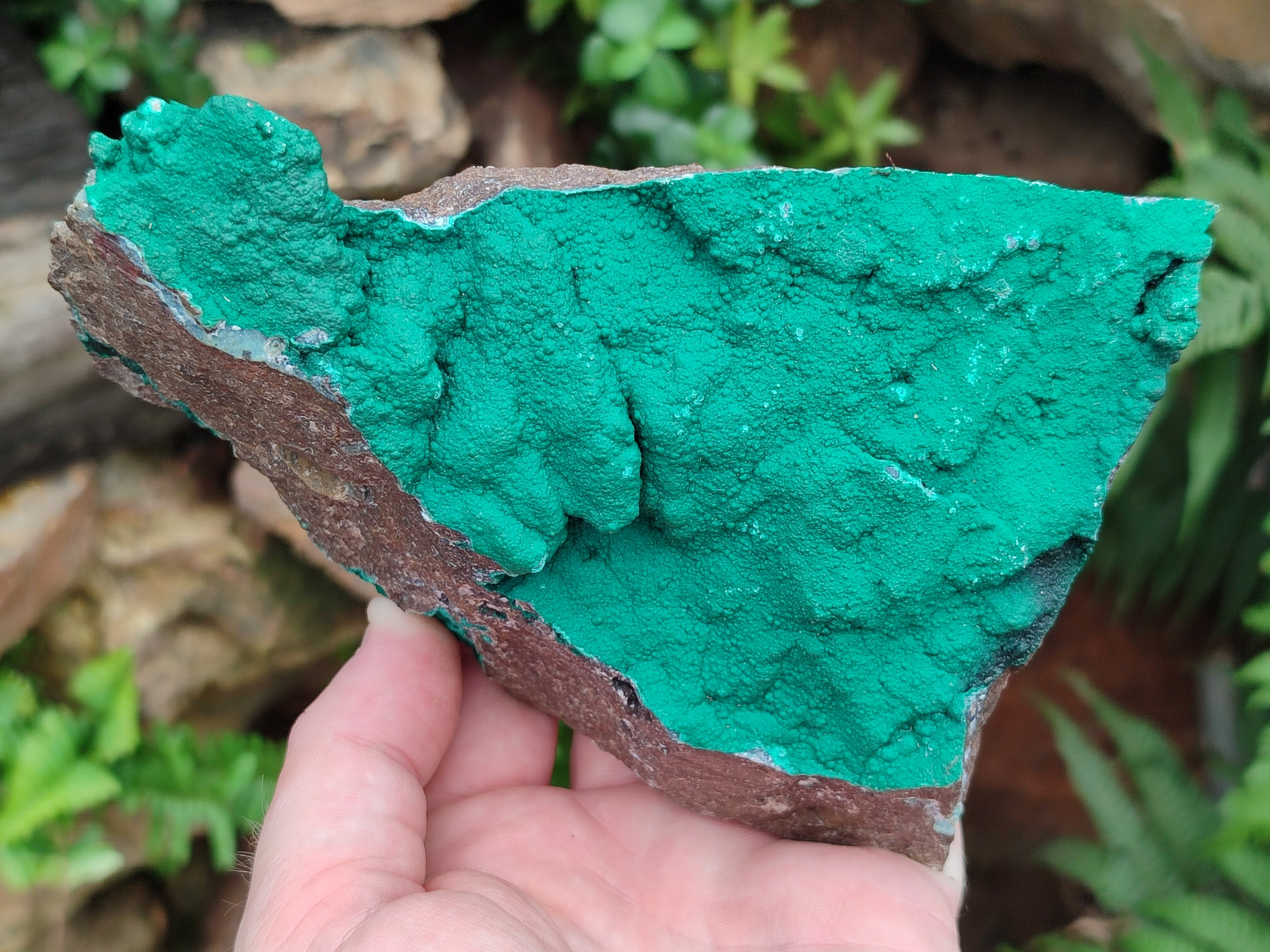 Natural Botryoidal Malachite Specimens x 2 From Tenke Fungurume, Congo - Toprock Gemstones and Minerals 