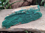 Natural Botryoidal Malachite Specimens x 2 From Tenke Fungurume, Congo - Toprock Gemstones and Minerals 
