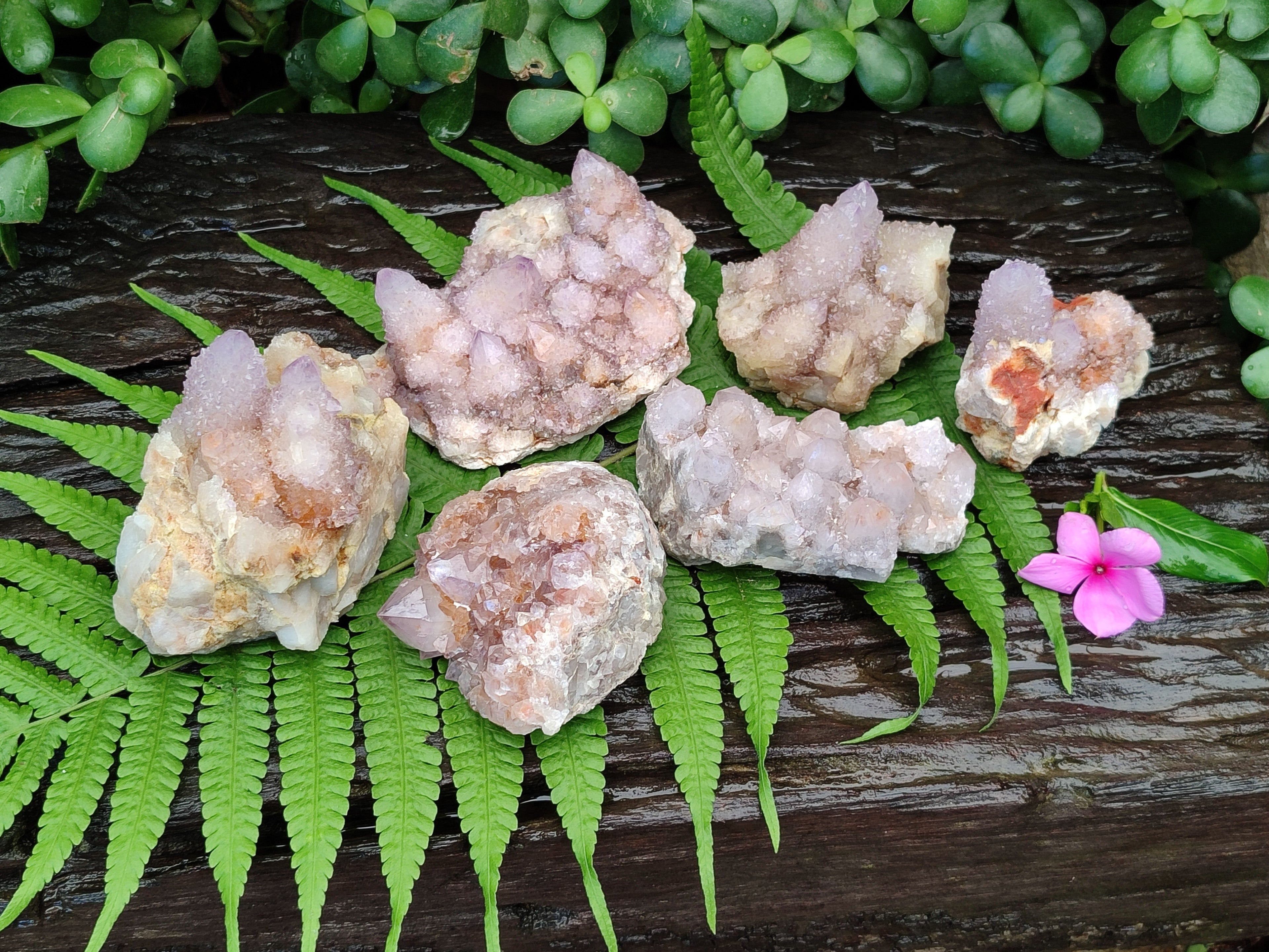 Natural Amethyst Spirit Quartz Clusters x 6 From Boekenhouthoek, South Africa - Toprock Gemstones and Minerals 