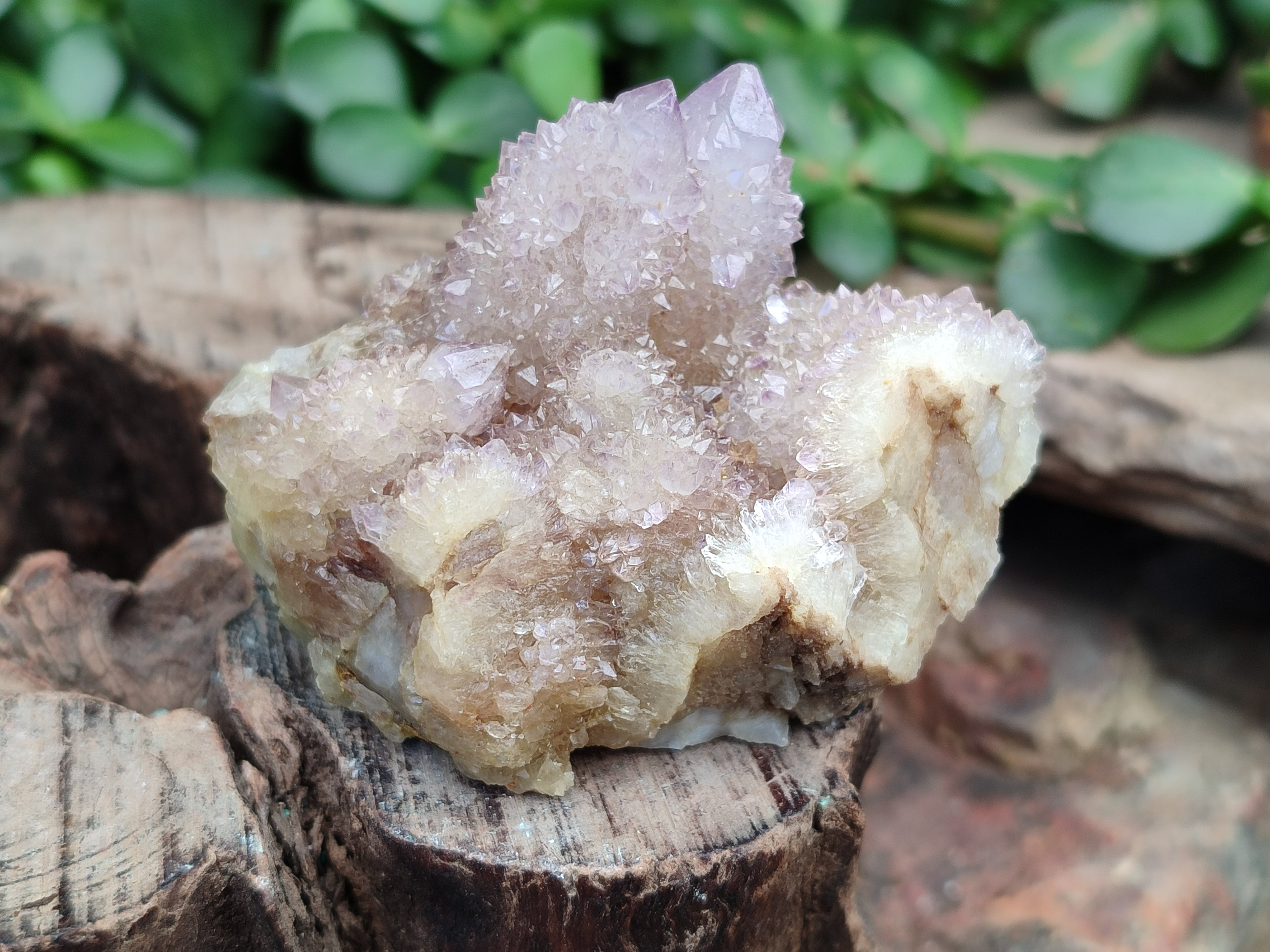 Natural Amethyst Spirit Quartz Clusters x 6 From Boekenhouthoek, South Africa - Toprock Gemstones and Minerals 