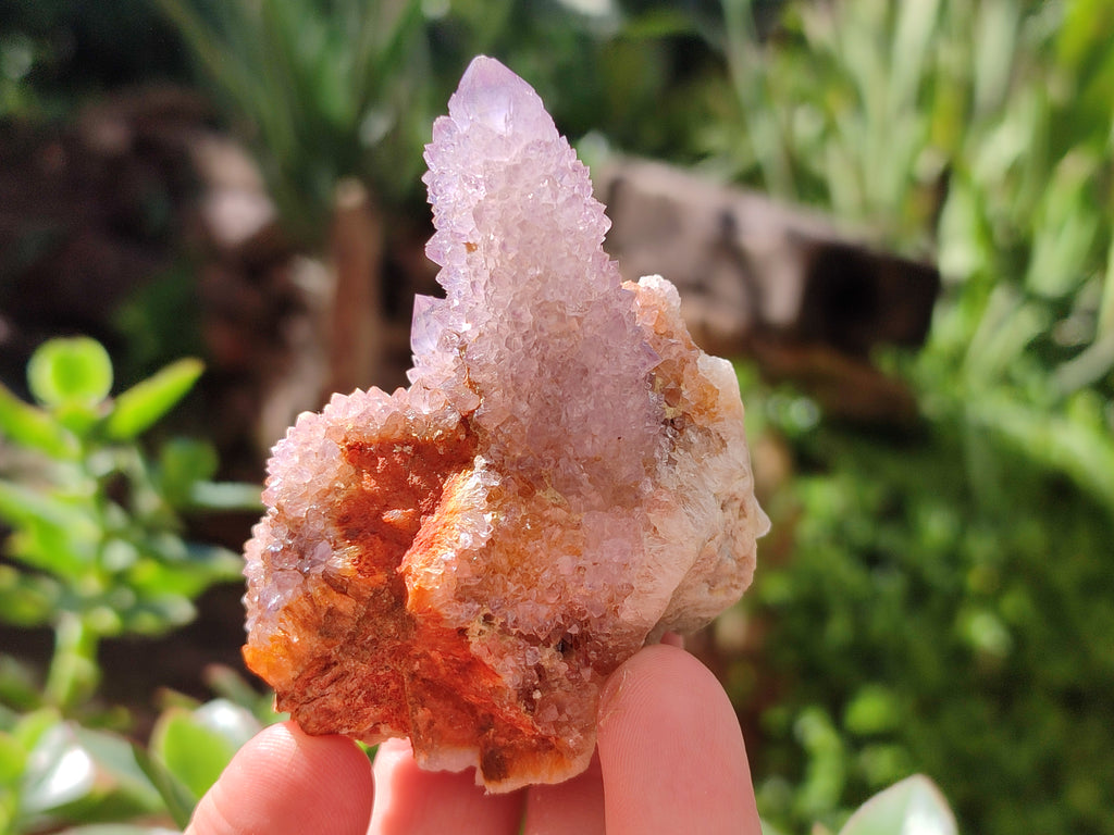 Natural Amethyst Spirit Quartz Clusters x 6 From Boekenhouthoek, South Africa - Toprock Gemstones and Minerals 