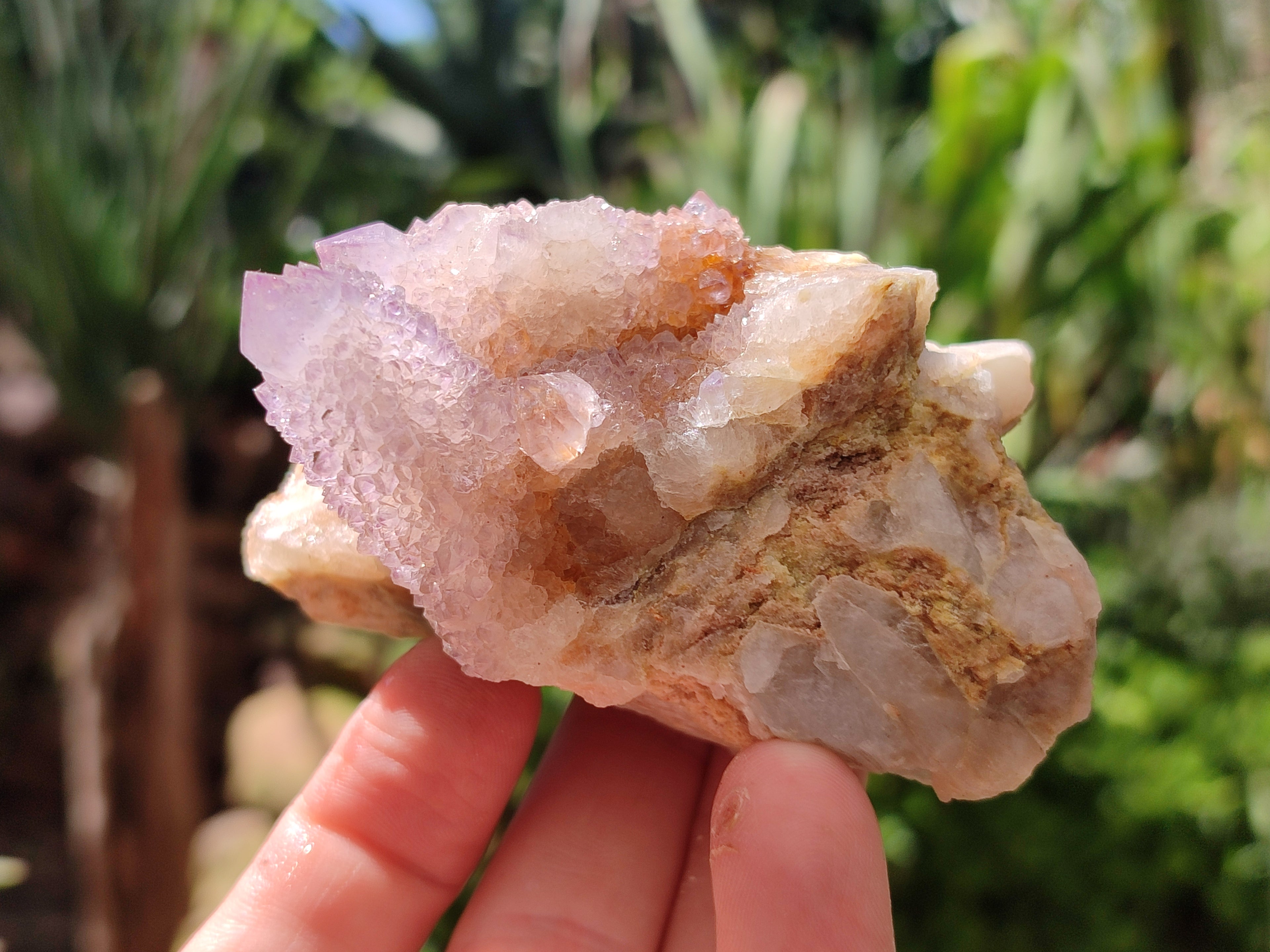 Natural Amethyst Spirit Quartz Clusters x 6 From Boekenhouthoek, South Africa - Toprock Gemstones and Minerals 