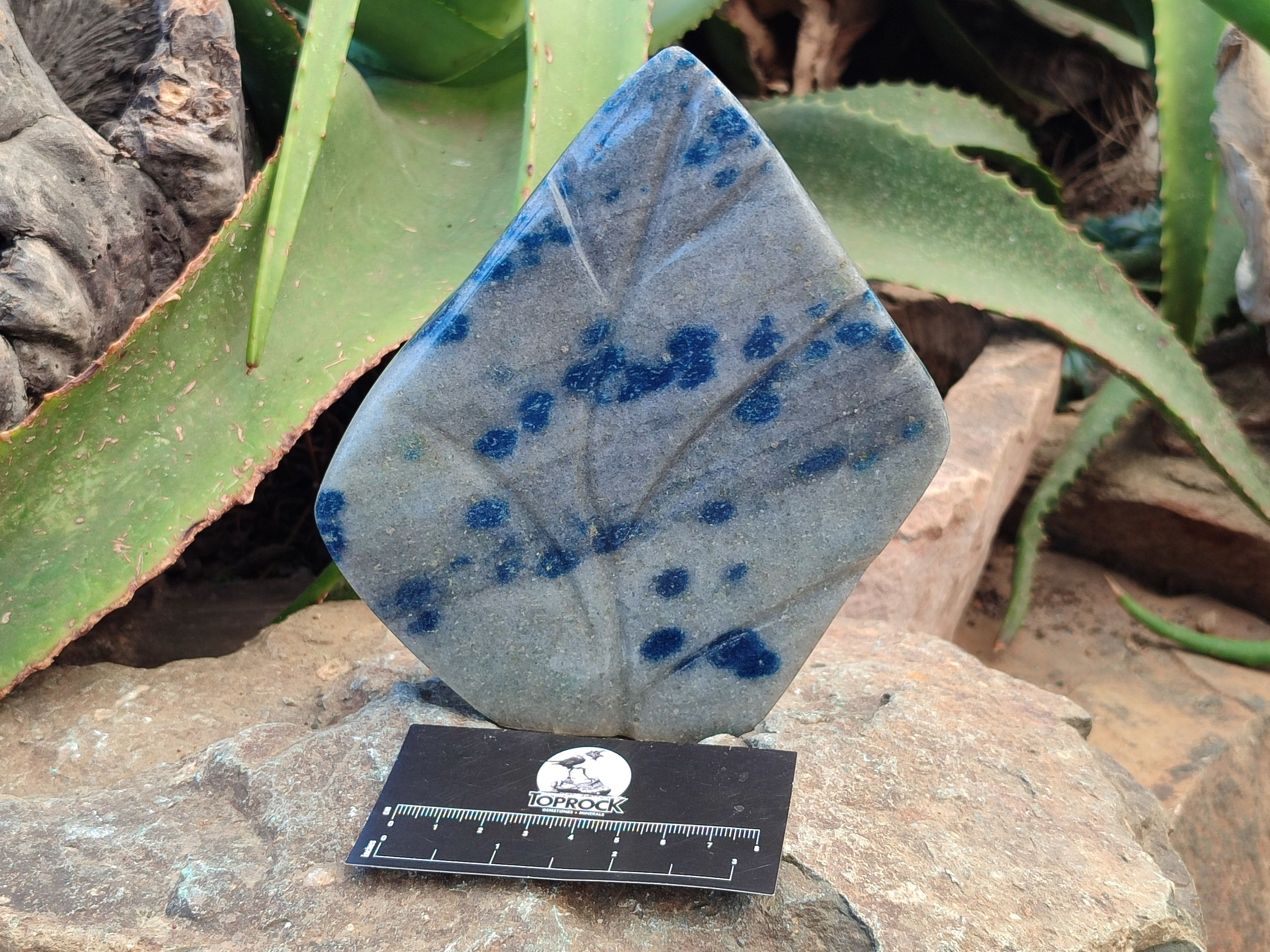 Polished Blue Spinel Spotted Quartz Leaf Sculpture x 1 From Madagascar - Toprock Gemstones and Minerals 
