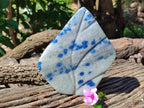 Polished Blue Spinel Spotted Quartz Leaf Sculpture x 1 From Madagascar - Toprock Gemstones and Minerals 