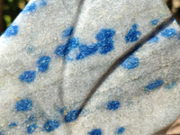 Polished Blue Spinel Spotted Quartz Leaf Sculpture x 1 From Madagascar