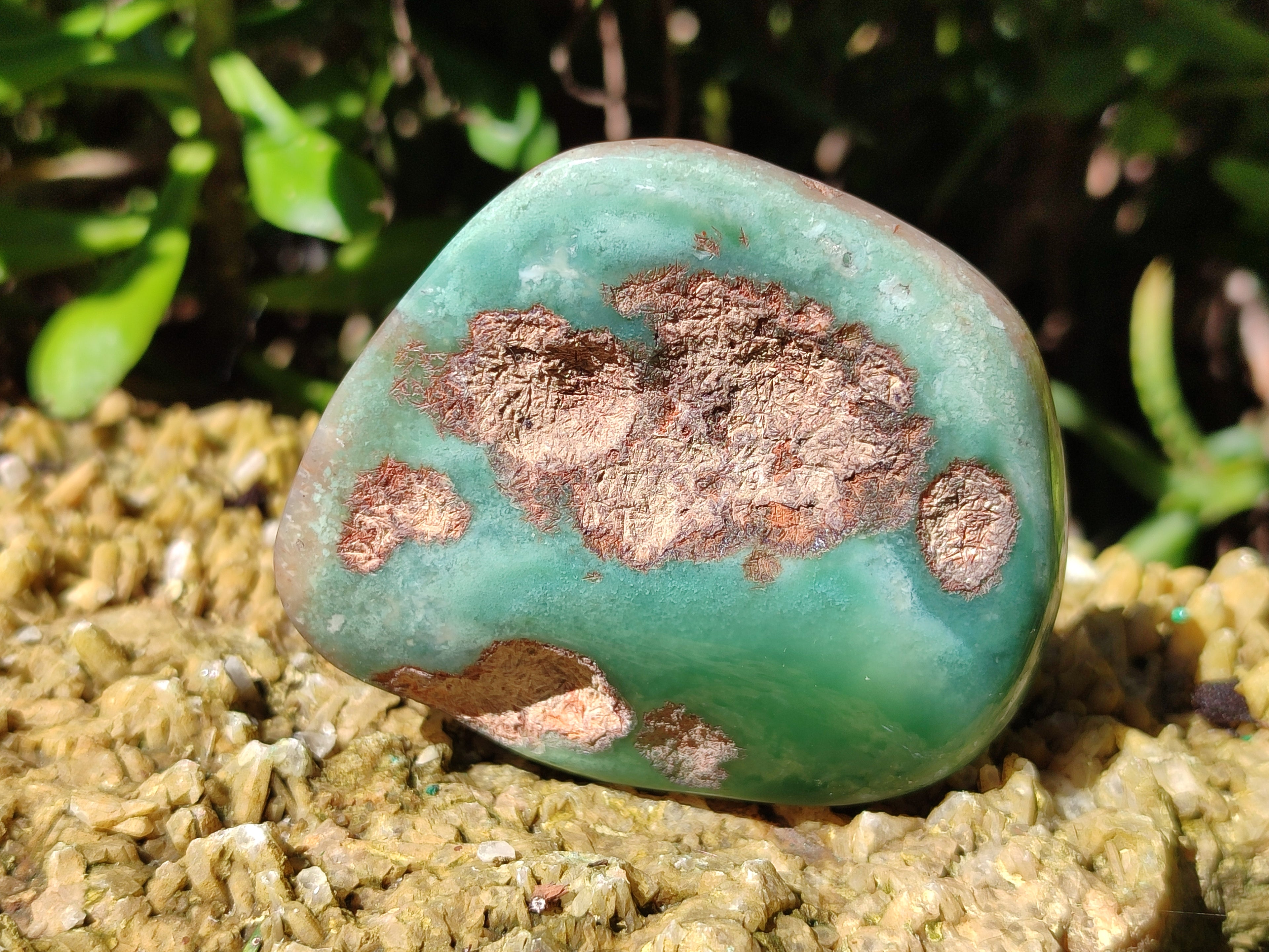 Polished Emerald Mtorolite Free Forms x 24 From Mutorashanga, Zimbabwe - Toprock Gemstones and Minerals 