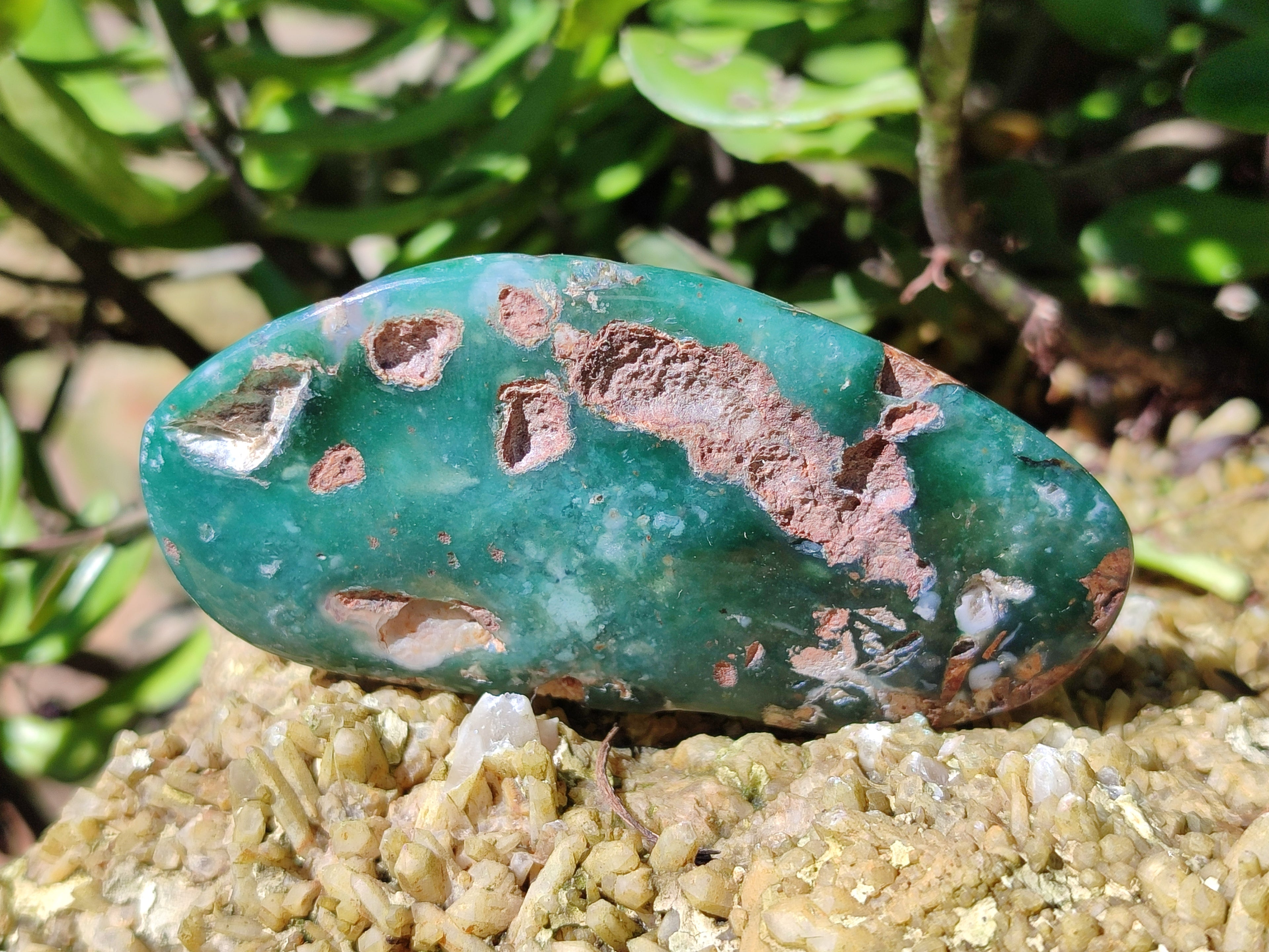 Polished Emerald Mtorolite Free Forms x 24 From Mutorashanga, Zimbabwe - Toprock Gemstones and Minerals 