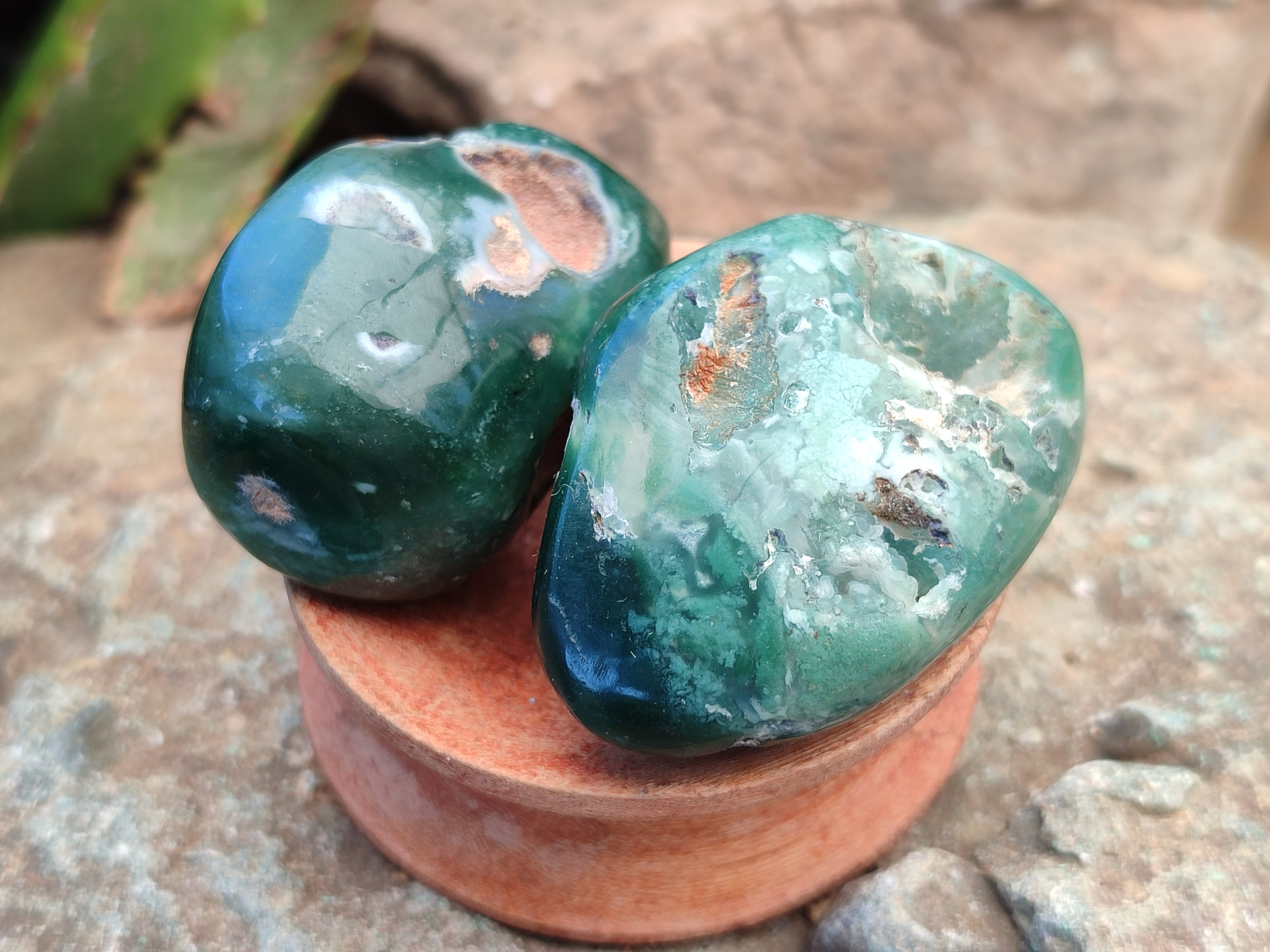 Polished Emerald Mtorolite Free Forms x 24 From Mutorashanga, Zimbabwe - Toprock Gemstones and Minerals 