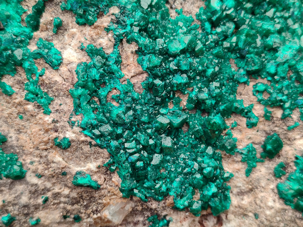 Natural Rare Dioptase Cabinet Specimen x 1 From Congo - Toprock Gemstones and Minerals 