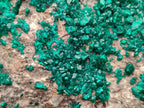 Natural Rare Dioptase Cabinet Specimen x 1 From Congo - Toprock Gemstones and Minerals 