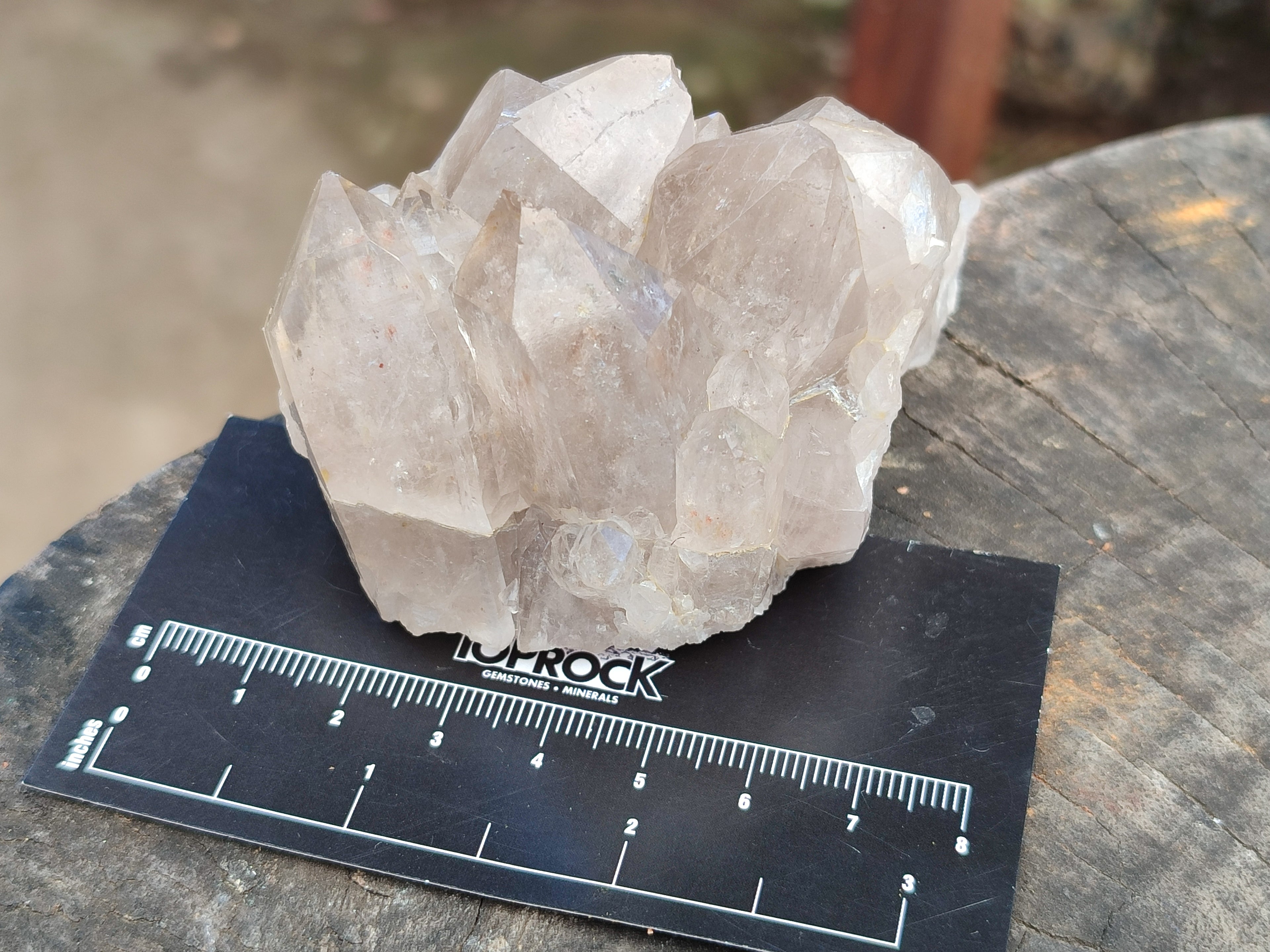 Natural Smokey Phantom Quartz Clusters x 6 From Luena, Congo - Toprock Gemstones and Minerals 