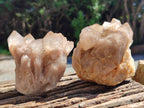 Natural Smokey Phantom Quartz Clusters x 6 From Luena, Congo - Toprock Gemstones and Minerals 