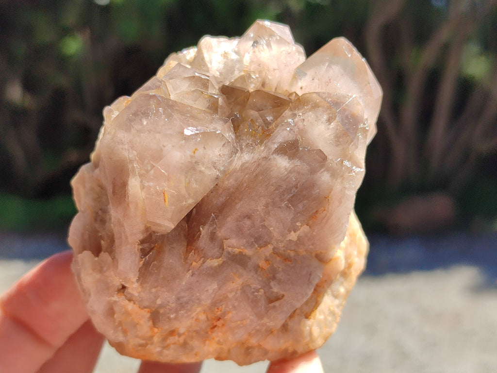 Natural Smokey Phantom Quartz Clusters x 6 From Luena, Congo - Toprock Gemstones and Minerals 