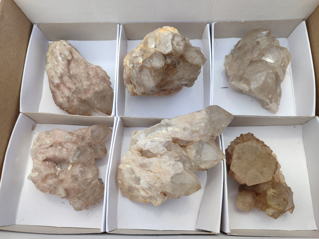 Natural Smokey Phantom Quartz Clusters x 6 From Luena, Congo - Toprock Gemstones and Minerals 