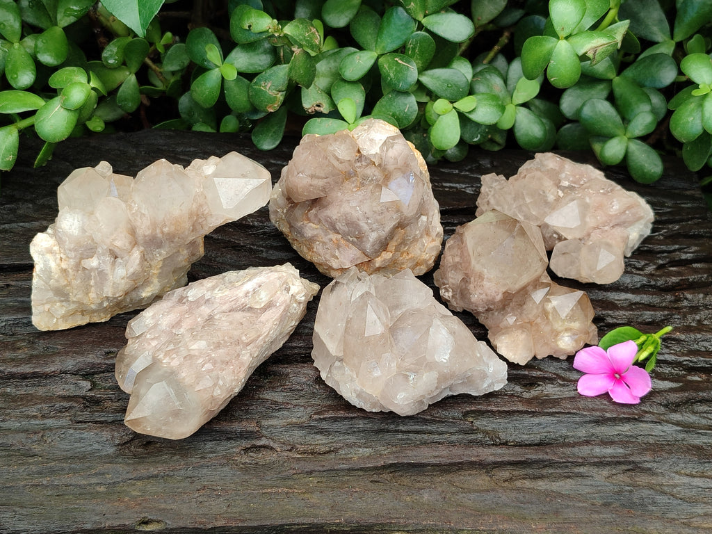 Natural Smokey Phantom Quartz Clusters x 6 From Luena, Congo - Toprock Gemstones and Minerals 