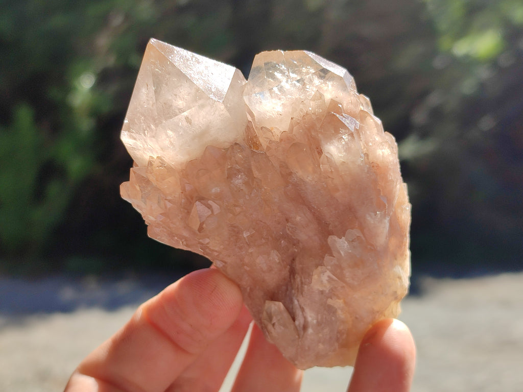 Natural Smokey Phantom Quartz Clusters x 6 From Luena, Congo - Toprock Gemstones and Minerals 