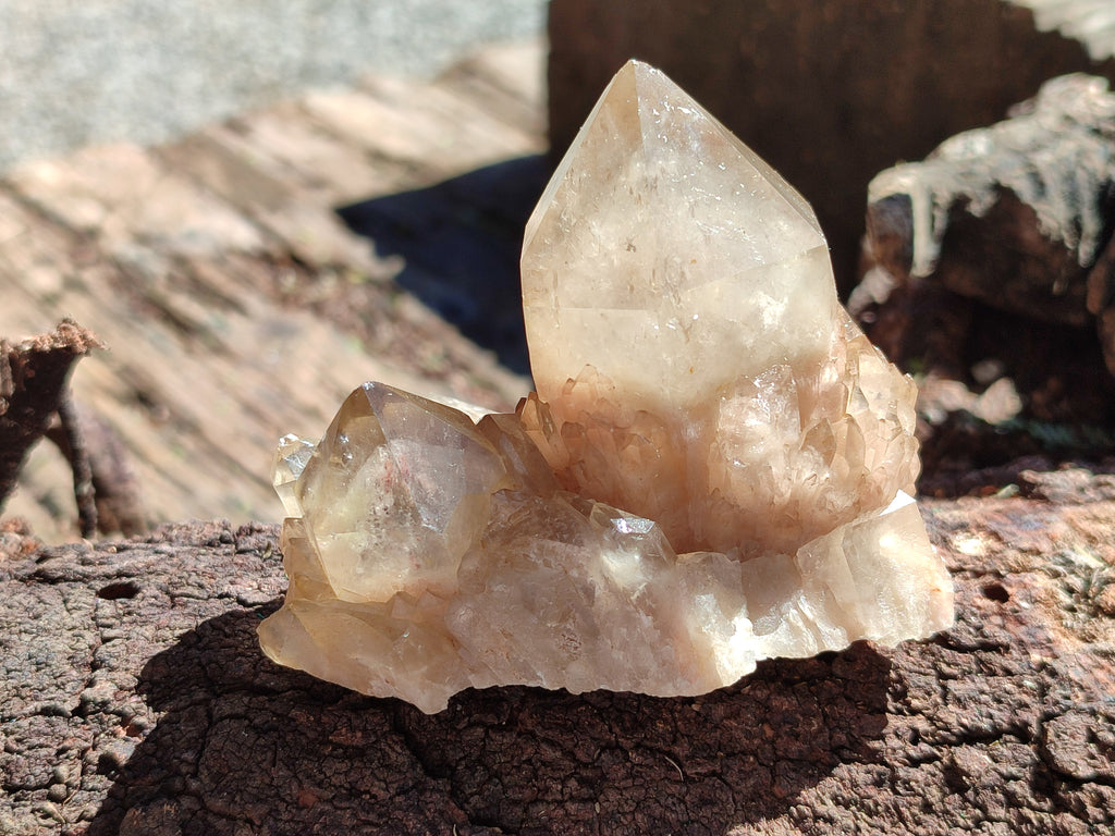 Natural Smokey Phantom Quartz Clusters x 6 From Luena, Congo - Toprock Gemstones and Minerals 