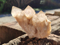 Natural Smokey Phantom Quartz Clusters x 6 From Luena, Congo - Toprock Gemstones and Minerals 