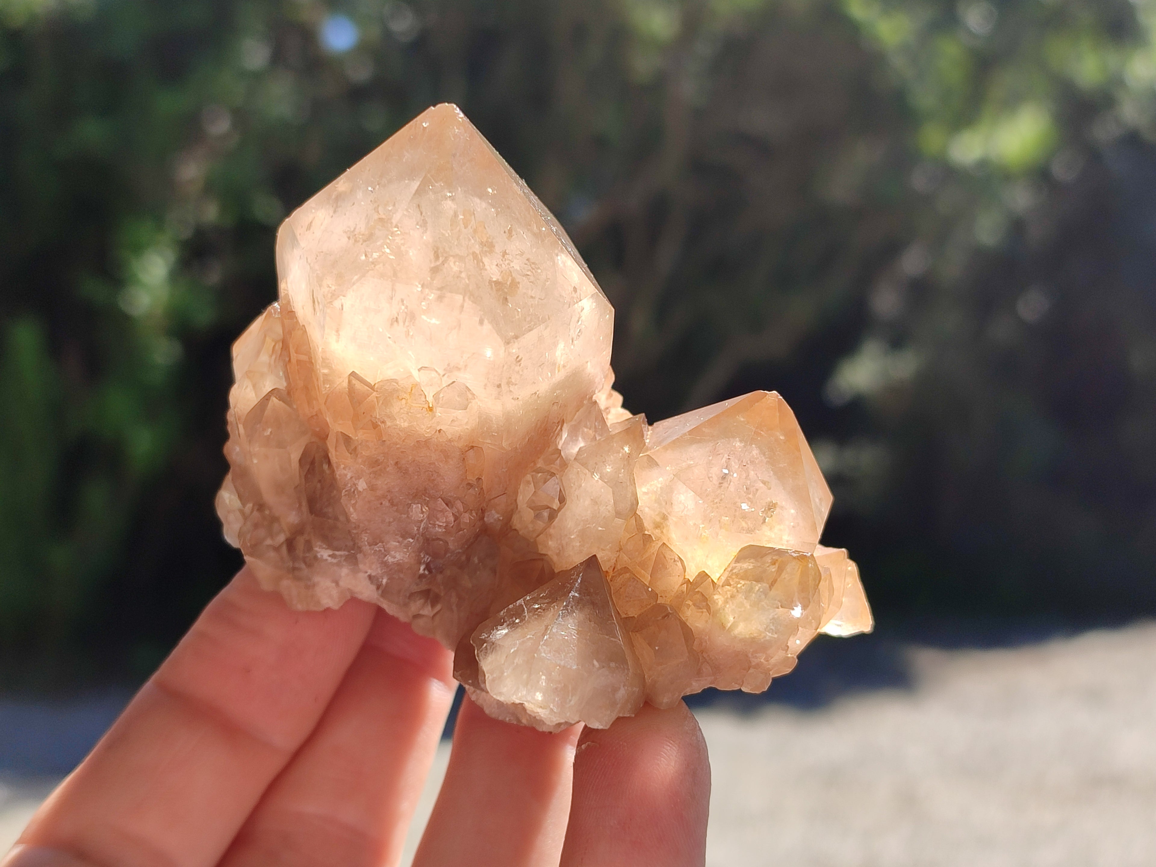 Natural Smokey Phantom Quartz Clusters x 6 From Luena, Congo - Toprock Gemstones and Minerals 