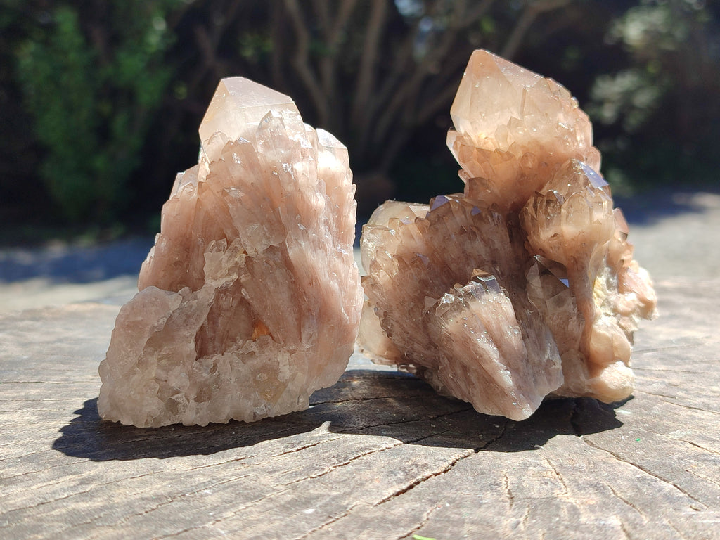 Natural Smokey Phantom Quartz Clusters x 6 From Luena, Congo - Toprock Gemstones and Minerals 