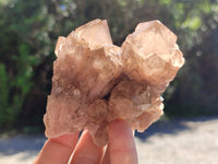 Natural Smokey Phantom Quartz Clusters x 6 From Luena, Congo - Toprock Gemstones and Minerals 