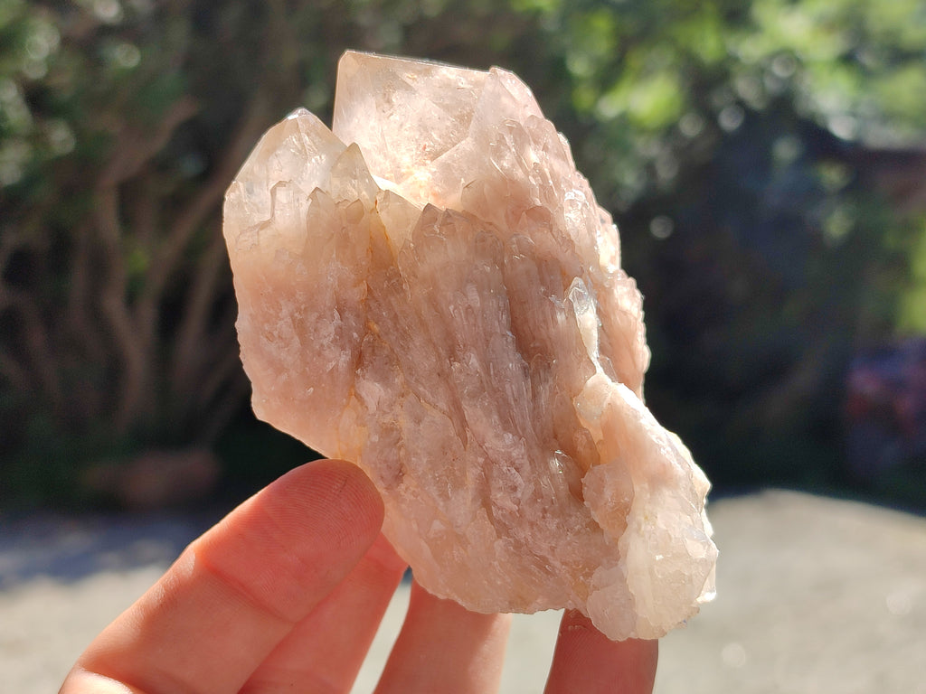 Natural Smokey Phantom Quartz Clusters x 6 From Luena, Congo - Toprock Gemstones and Minerals 