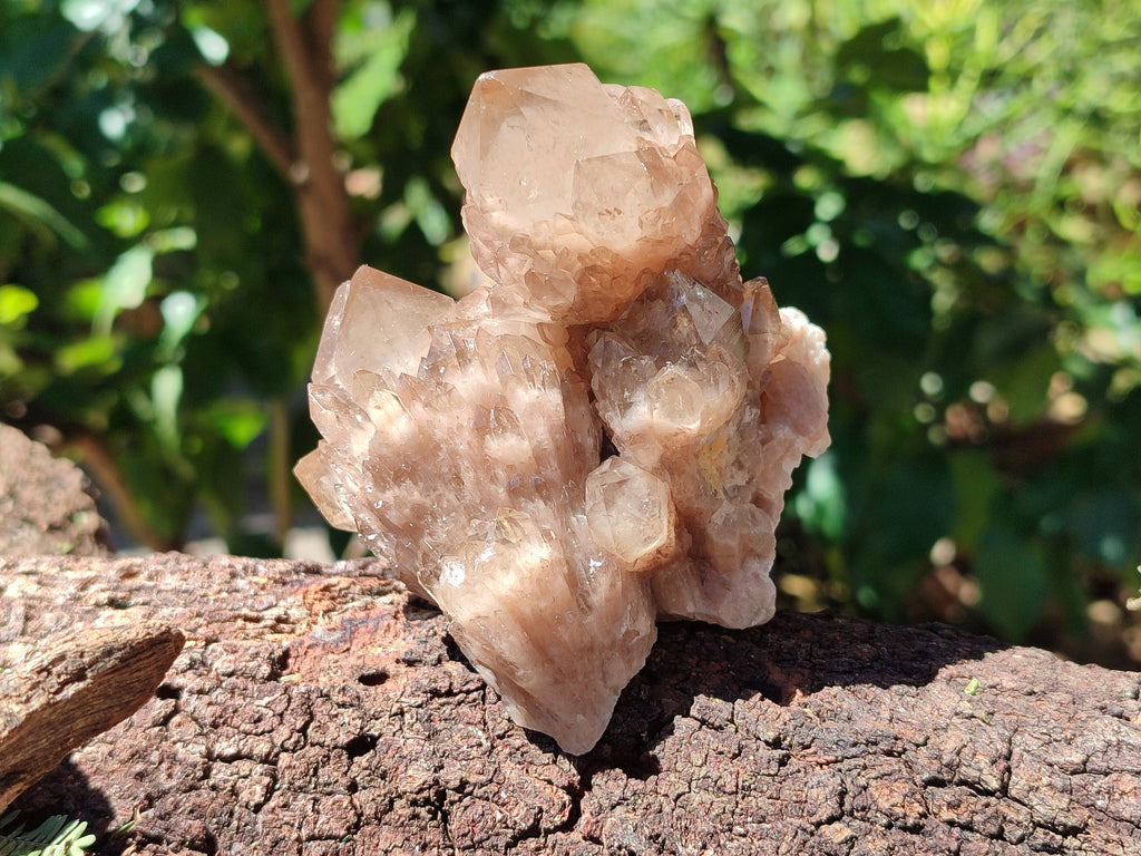 Natural Smokey Phantom Quartz Clusters x 6 From Luena, Congo - Toprock Gemstones and Minerals 