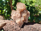 Natural Smokey Phantom Quartz Clusters x 6 From Luena, Congo - Toprock Gemstones and Minerals 