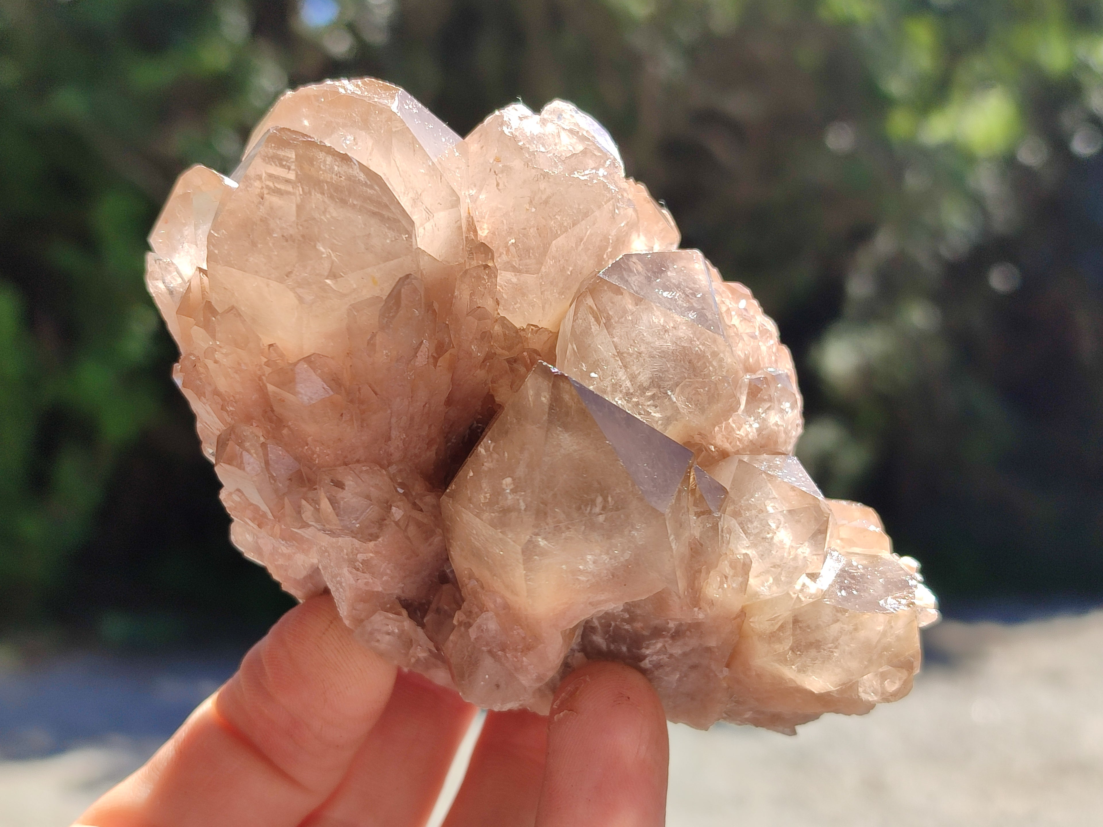 Natural Smokey Phantom Quartz Clusters x 6 From Luena, Congo - Toprock Gemstones and Minerals 