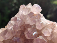 Natural Jacaranda Amethyst Quartz Clusters x 2 From Mumbwa, Zambia