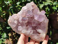 Natural Jacaranda Amethyst Quartz Clusters x 2 From Mumbwa, Zambia