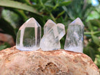 Polished Mini Clear Quartz Crystals x 35 From Madagascar - Toprock Gemstones and Minerals 