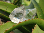 Polished Mini Clear Quartz Crystals x 35 From Madagascar - Toprock Gemstones and Minerals 